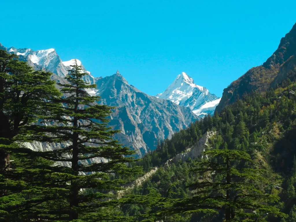 Gangotri-National-Park