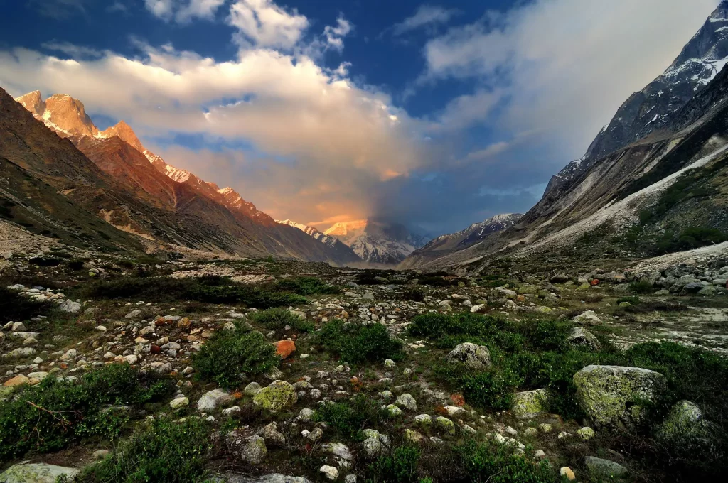 Gangotri-National-Park